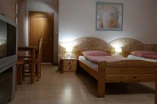 Отель VillaMirage Тарновске-Гуры Двухместный номер Делюкс с 1 кроватью или 2 отдельными кроватями-3