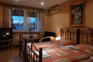 Отель VillaMirage Тарновске-Гуры Двухместный номер Делюкс с 1 кроватью или 2 отдельными кроватями-29